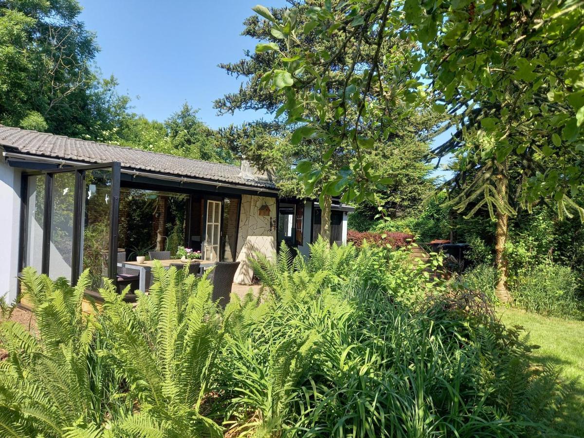 Natuurhuisje Eartswoud Aartswoud المظهر الخارجي الصورة