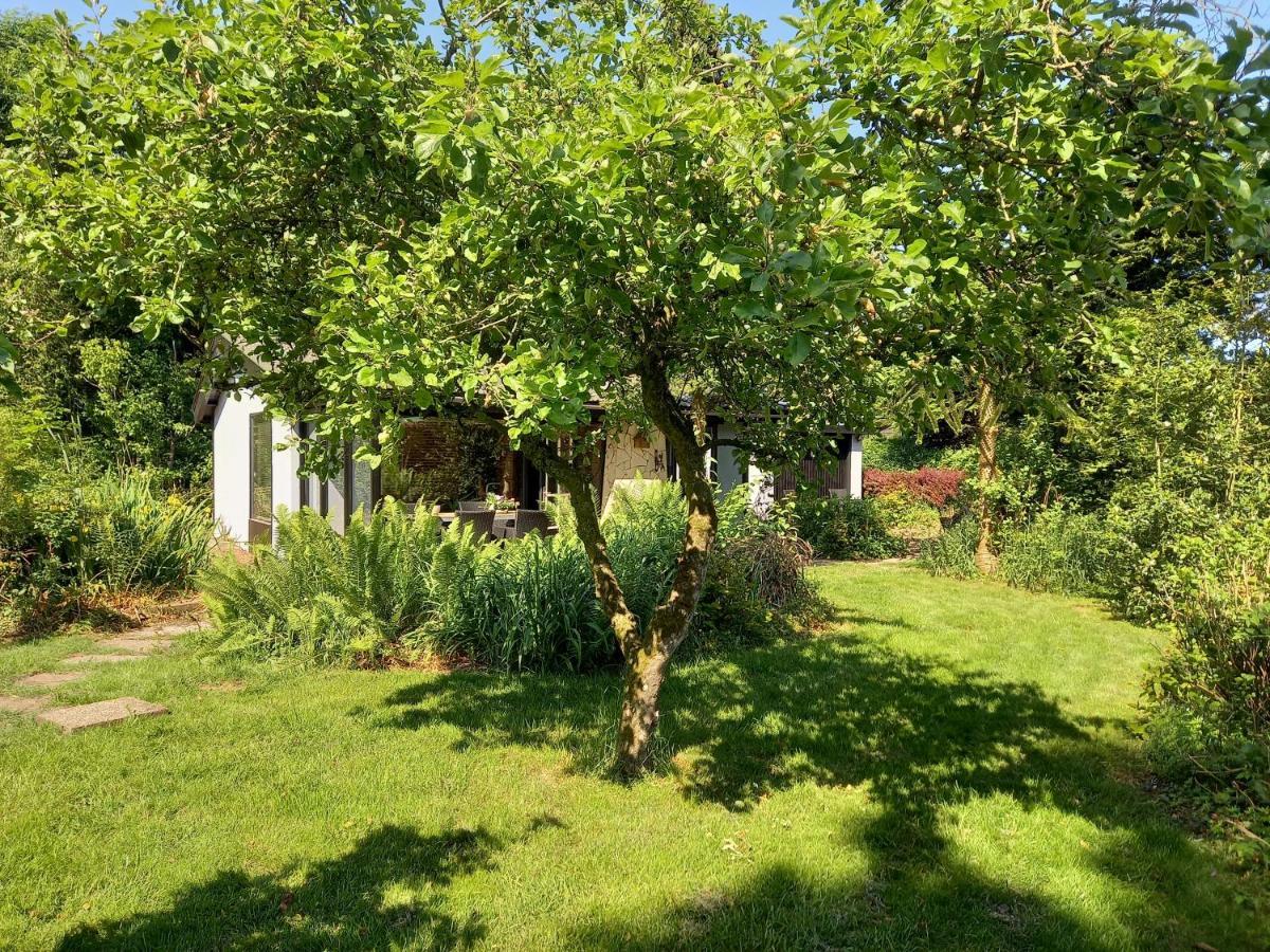 Natuurhuisje Eartswoud Aartswoud المظهر الخارجي الصورة